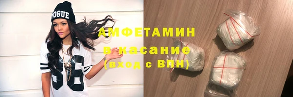 СК Алексин