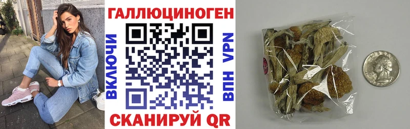 Псилоцибиновые грибы GOLDEN TEACHER  Саров 